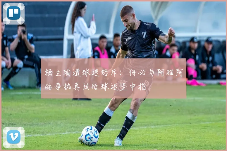杨立瑜遭球迷怒斥：何必与阿猫阿狗争执真该给球迷竖中指