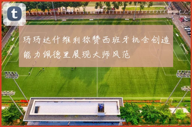 玛玛达什维利称赞西班牙机会创造能力佩德里展现大师风范
