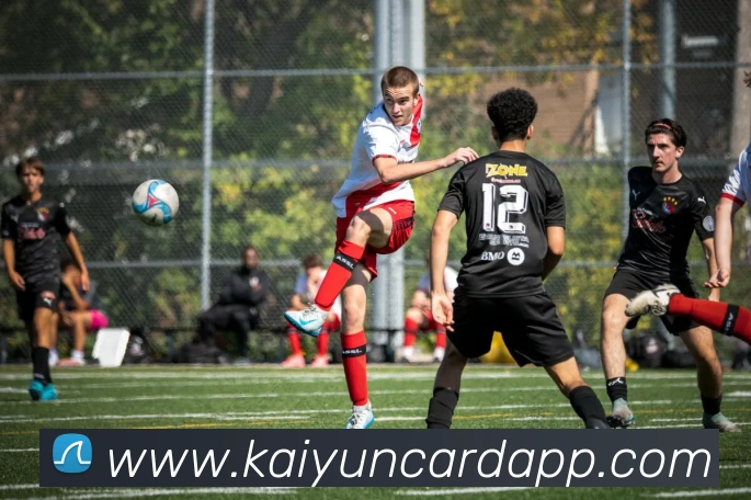 开云棋牌APP 封面图